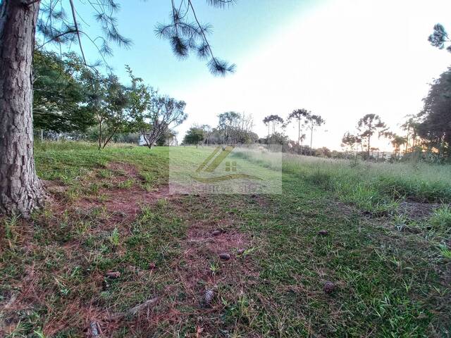 Sítio para Venda em Ibiúna - 4