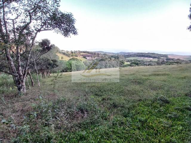 Sítio para Venda em Ibiúna - 5