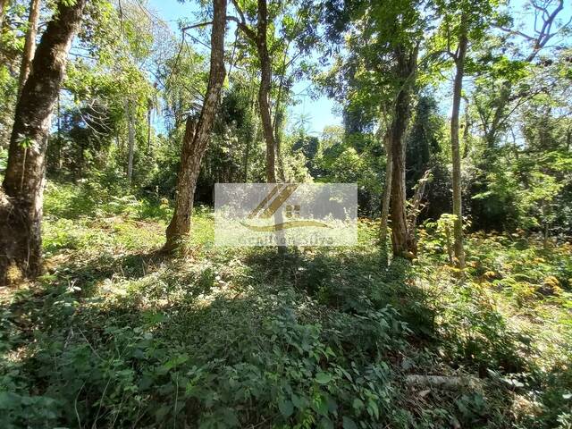 Terreno para Venda em Ibiúna - 4