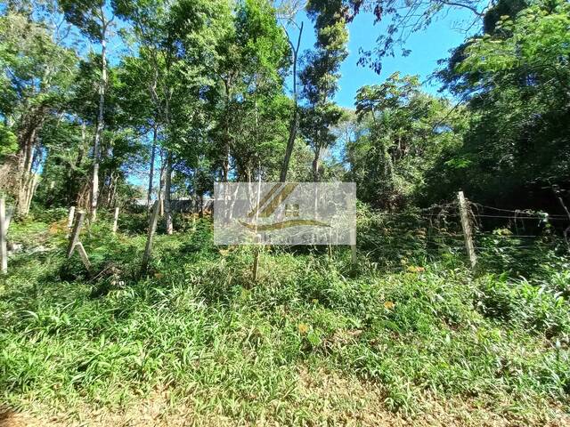 Terreno para Venda em Ibiúna - 3