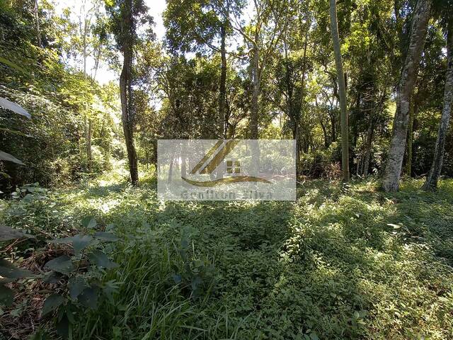 Terreno para Venda em Ibiúna - 5