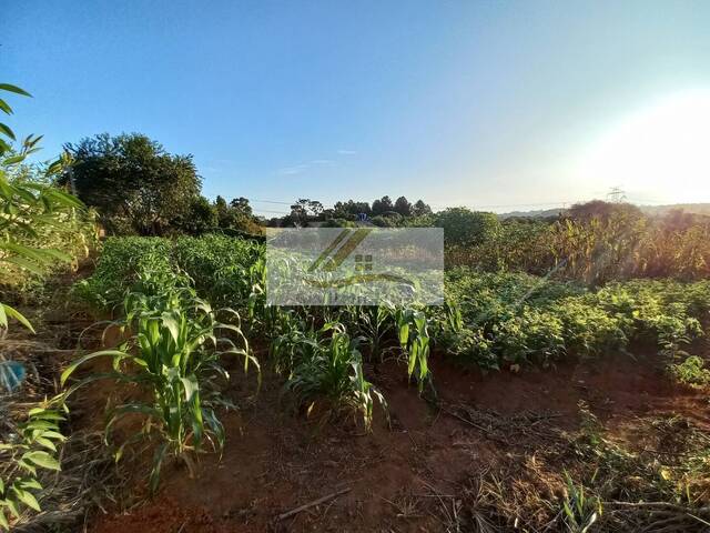 Terreno para Venda em Ibiúna - 5