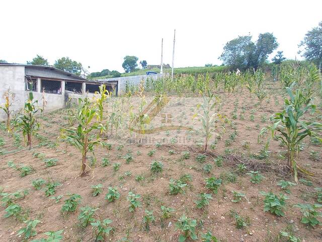 #190 - Terreno para Venda em Ibiúna - SP - 3