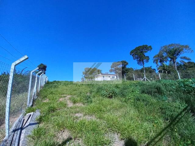 #217 - Terreno para Venda em Ibiúna - SP - 2