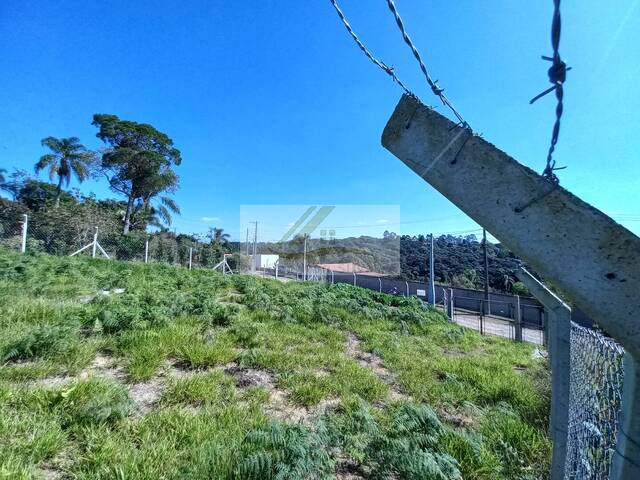 Terreno para Venda em Ibiúna - 5