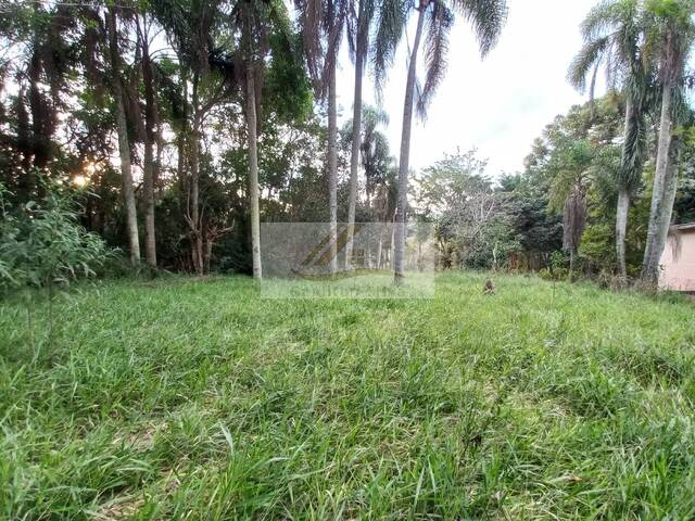 #220 - Terreno para Venda em Ibiúna - SP - 1