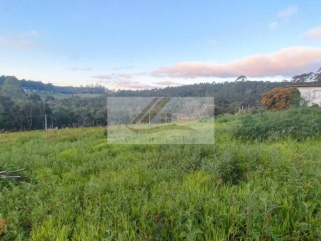 #268 - Área para Venda em Ibiúna - SP - 1