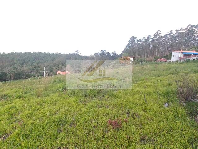 #268 - Área para Venda em Ibiúna - SP - 3