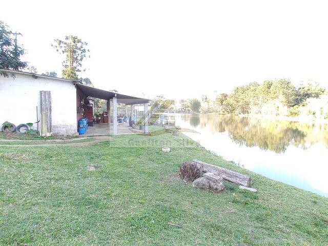 Sítio para Venda em Ibiúna - 5