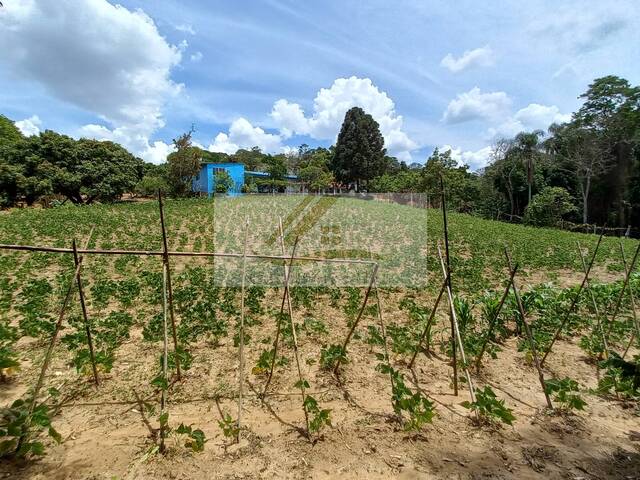 #286 - Chácara para Venda em Ibiúna - SP