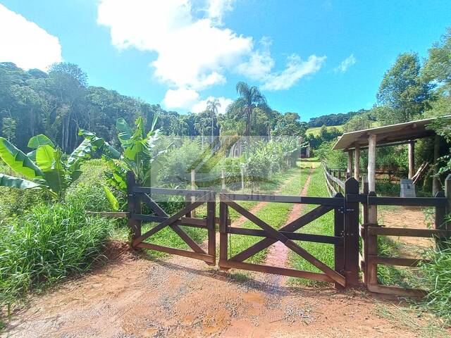 Sítio para Venda em Ibiúna - 4