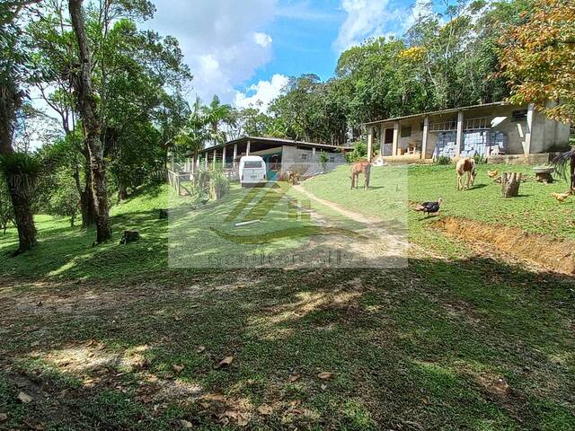 Sítio para Venda em Ibiúna - 5