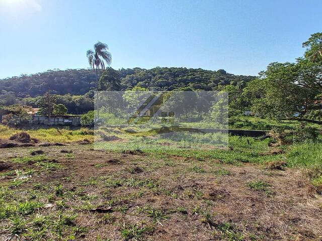 #420 - Terreno para Venda em Ibiúna - SP - 1