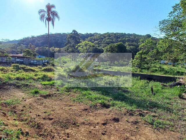 #420 - Terreno para Venda em Ibiúna - SP - 3