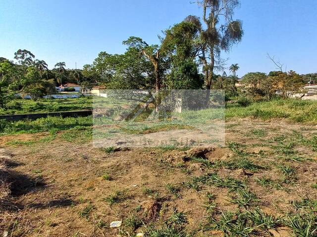 Terreno para Venda em Ibiúna - 4