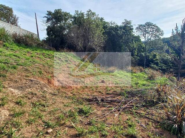 #443 - Terreno para Venda em Ibiúna - SP - 3