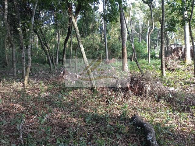 Terreno para Venda em Ibiúna - 3
