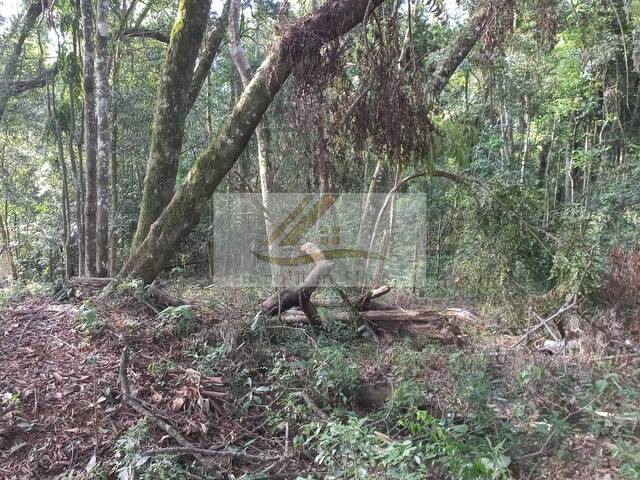 Terreno para Venda em Ibiúna - 5