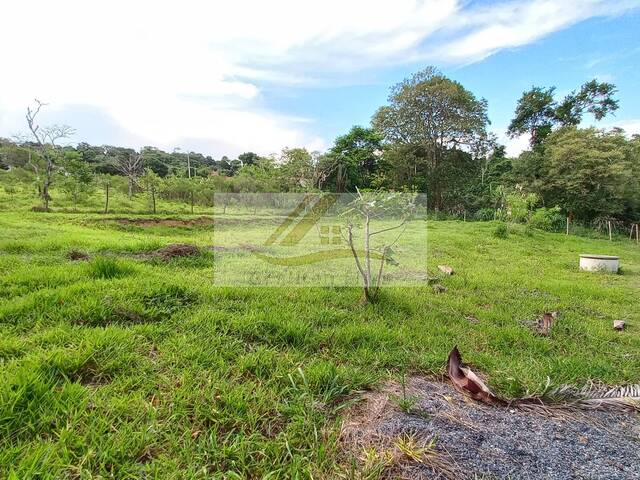 #479 - Terreno para Venda em Ibiúna - SP - 1