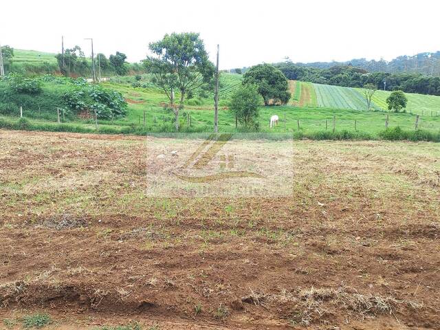 #486 - Terreno para Venda em Ibiúna - SP - 3