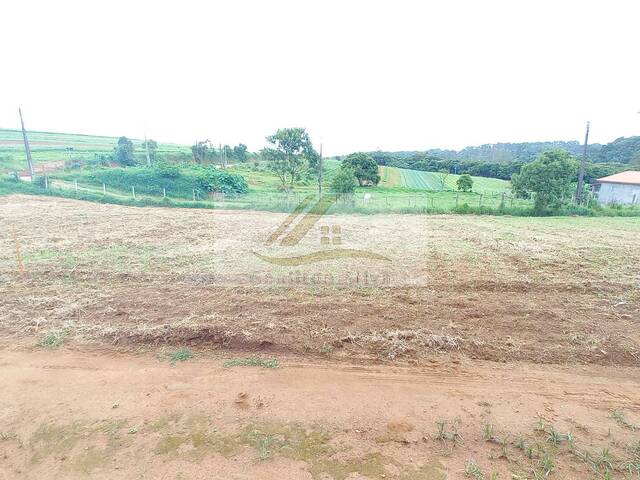 Terreno para Venda em Ibiúna - 4