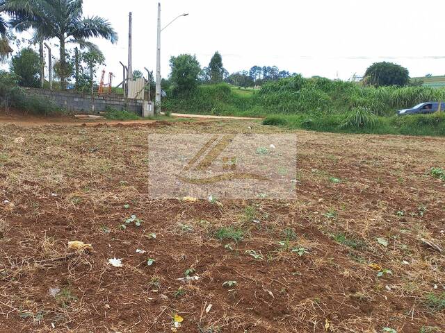 #487 - Terreno para Venda em Ibiúna - SP - 3