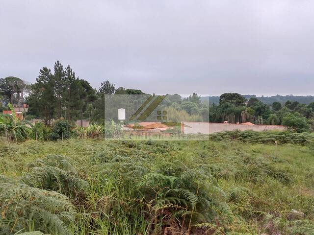 #494 - Terreno para Venda em Ibiúna - SP - 1