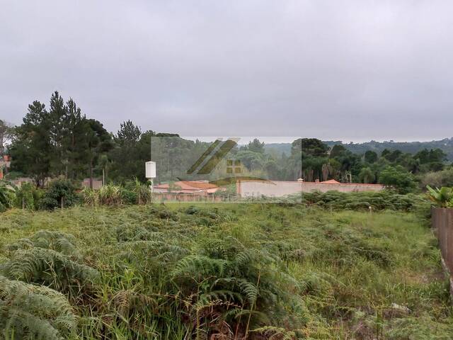 Terreno para Venda em Ibiúna - 5