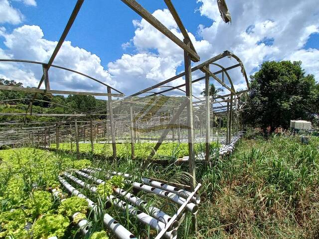 Área para Venda em Ibiúna - 4