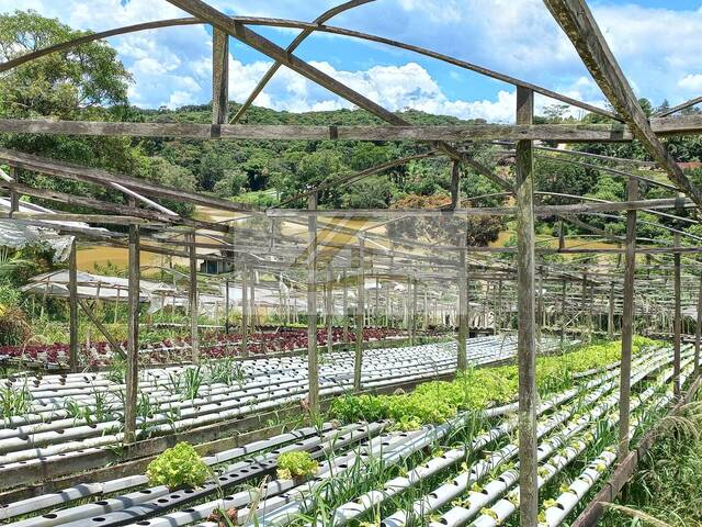 Área para Venda em Ibiúna - 5