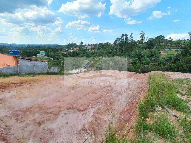 #398 - Terreno para Venda em Ibiúna - SP - 1