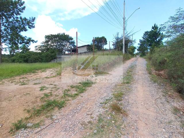 #397 - Terreno para Venda em Ibiúna - SP - 3