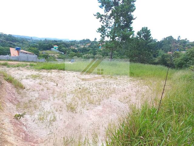 #397 - Terreno para Venda em Ibiúna - SP - 1