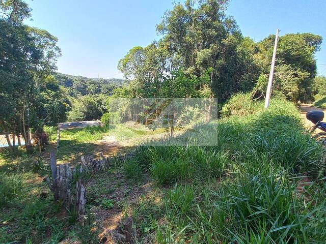 #544 - Terreno para Venda em Ibiúna - SP - 2
