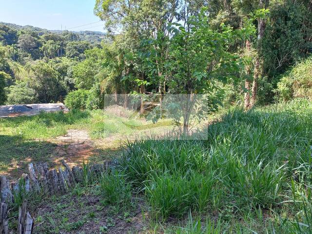 #544 - Terreno para Venda em Ibiúna - SP - 3