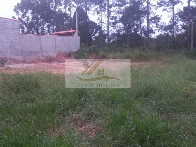 #560 - Terreno para Venda em Ibiúna - SP - 3