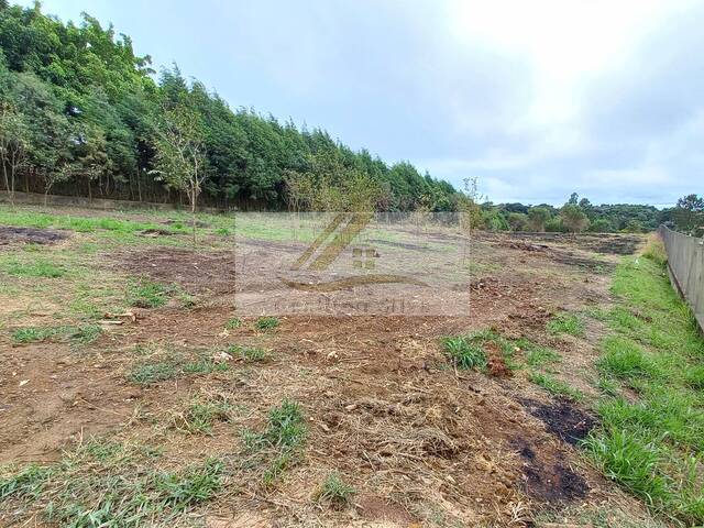 #619 - Terreno para Venda em Ibiúna - SP - 1
