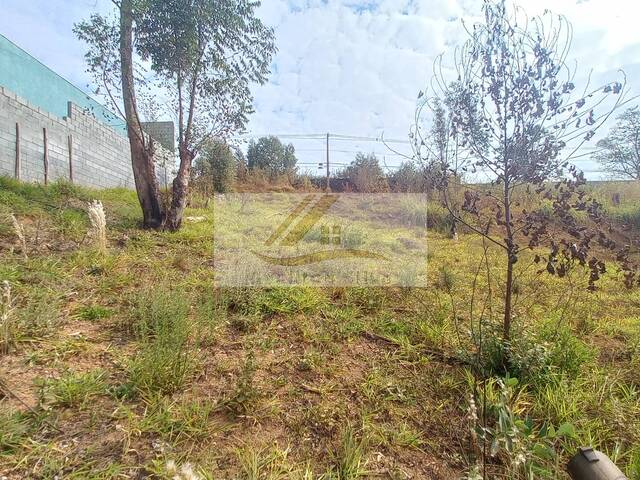 #632 - Terreno para Venda em Ibiúna - SP - 3