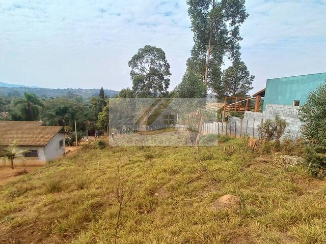 Terreno para Venda em Ibiúna - 5