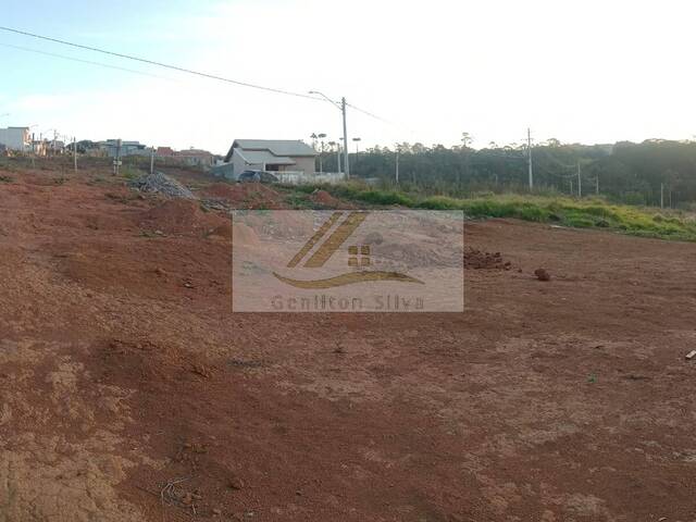 #665 - Terreno para Venda em Ibiúna - SP - 3