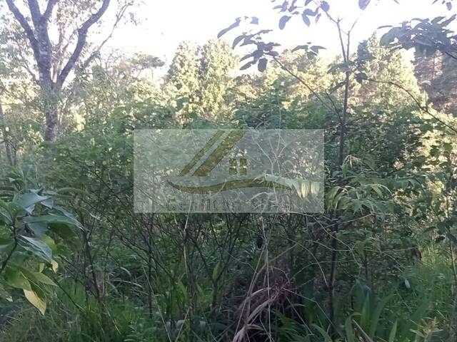 Terreno em condomínio para Venda em Ibiúna - 5