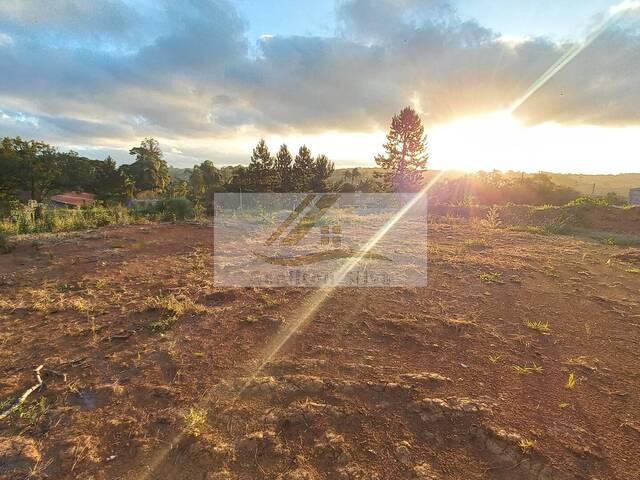 #734 - Terreno para Venda em Ibiúna - SP - 1