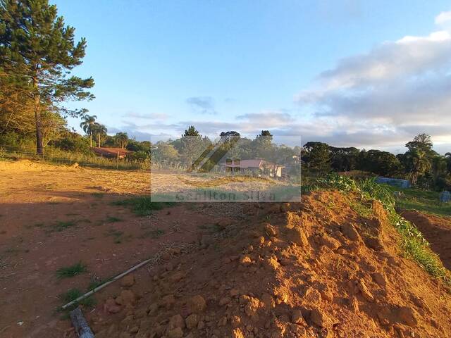 #734 - Terreno para Venda em Ibiúna - SP - 2