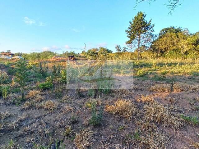 #734 - Terreno para Venda em Ibiúna - SP - 3