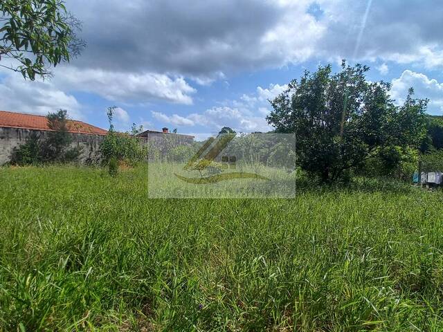 #736 - Terreno para Venda em Ibiúna - SP - 3