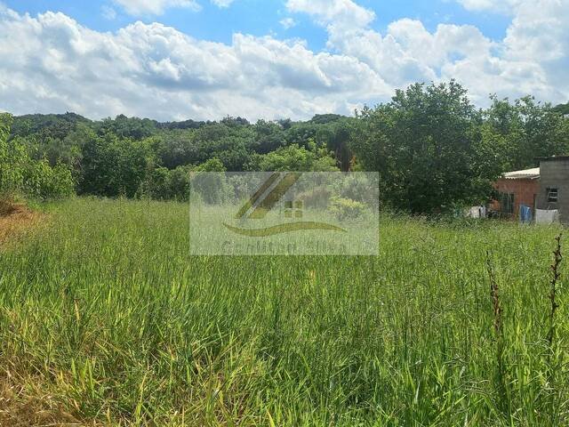 Terreno para Venda em Ibiúna - 4