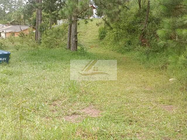 Chácara para Venda em Ibiúna - 4