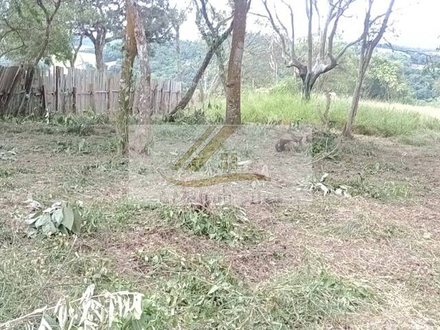 #777 - Terreno para Venda em Ibiúna - SP - 3