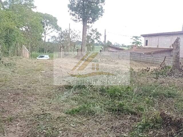 Terreno para Venda em Ibiúna - 4