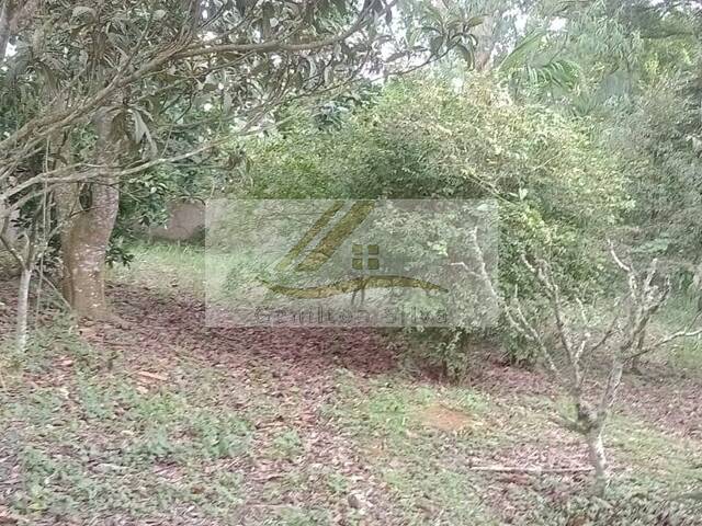 #781 - Terreno para Venda em Ibiúna - SP - 1